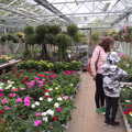 Isobel and Harry in Diss Garden Centre, Garden Centres, and Hamish Visits, Brome, Suffolk - 28th May 2021