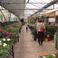 Harry wanders off, Garden Centres, and Hamish Visits, Brome, Suffolk - 28th May 2021