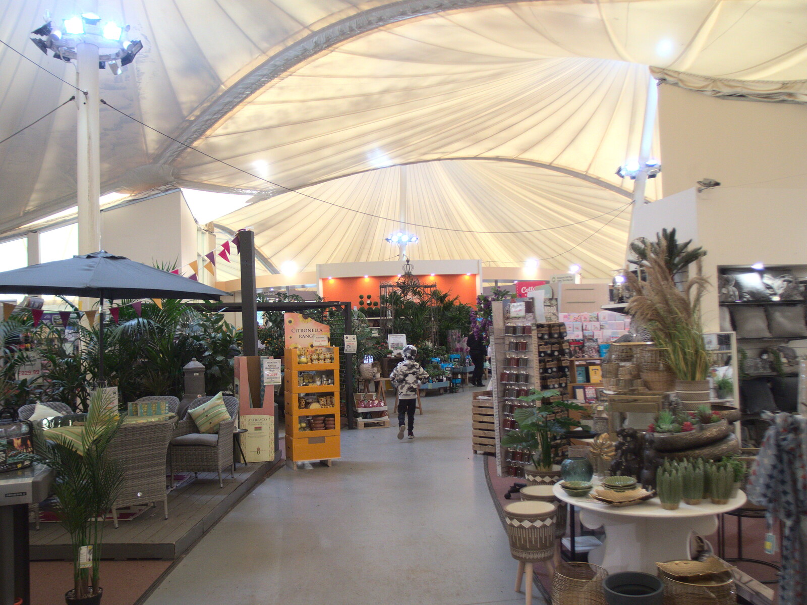 Harry in Bressingham Garden Centre from Garden Centres, and Hamish Visits, Brome, Suffolk - 28th May 2021