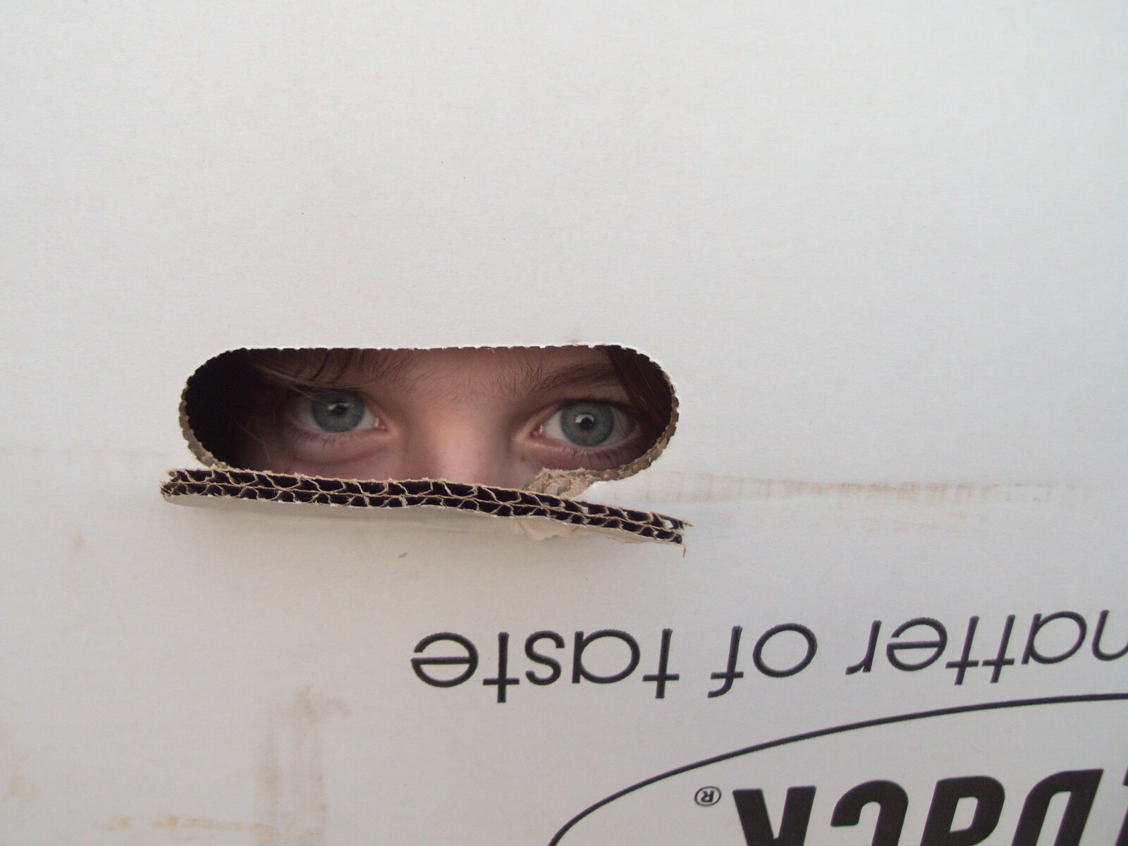 Harry's eyes peer out of a carboard box from Garden Centres, and Hamish Visits, Brome, Suffolk - 28th May 2021