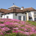 Cliff-top house and a load of pink flowers, A Day at the Beach with Sis, Southwold, Suffolk - 31st May 2021