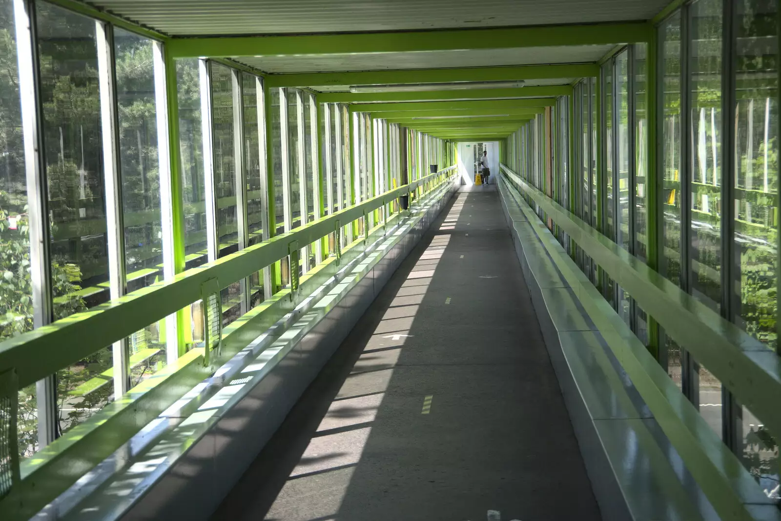 The link bridge over the M3, from A Trip to Grandma J's, Spreyton, Devon - 2nd June 2021