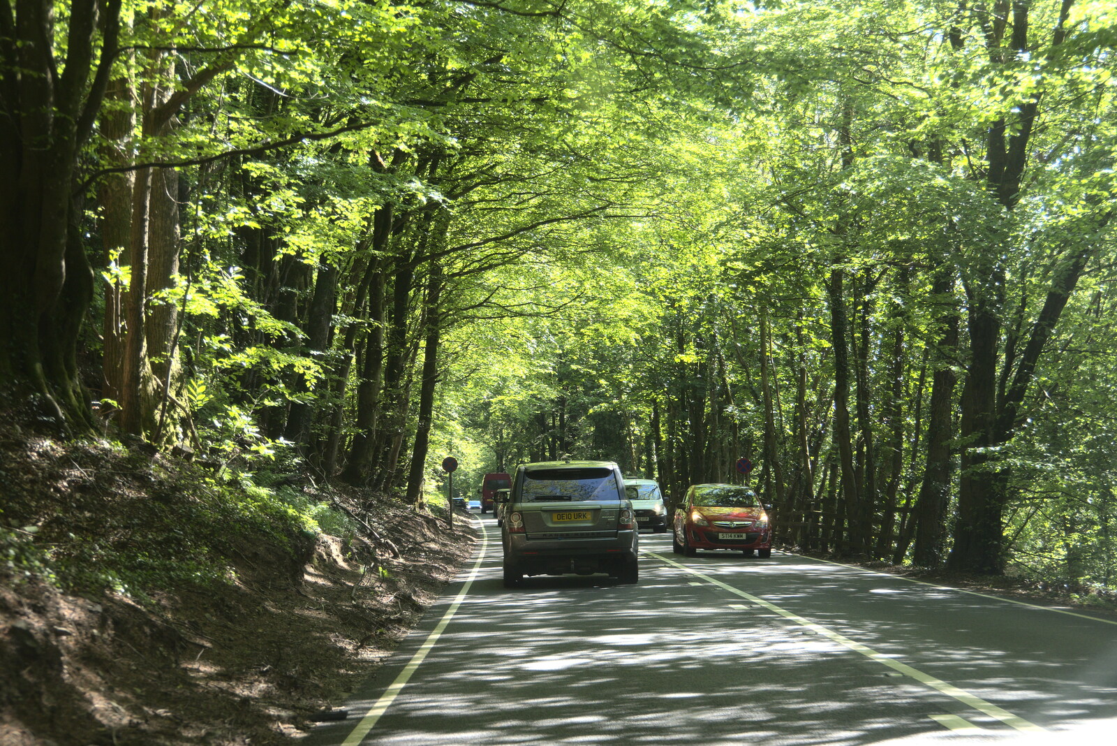 A nice tree tunnel on the A303 from A Trip to Grandma J's, Spreyton, Devon - 2nd June 2021