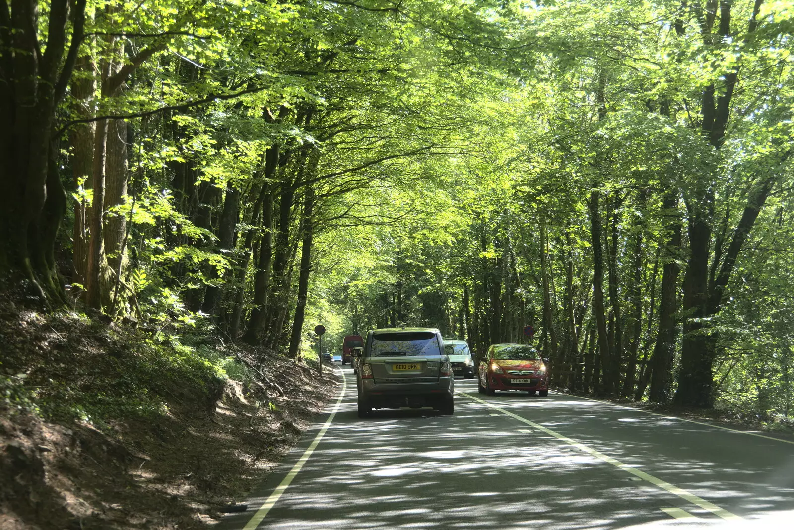 A nice tree tunnel on the A303, from A Trip to Grandma J's, Spreyton, Devon - 2nd June 2021