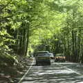 A nice tree tunnel on the A303, A Trip to Grandma J's, Spreyton, Devon - 2nd June 2021