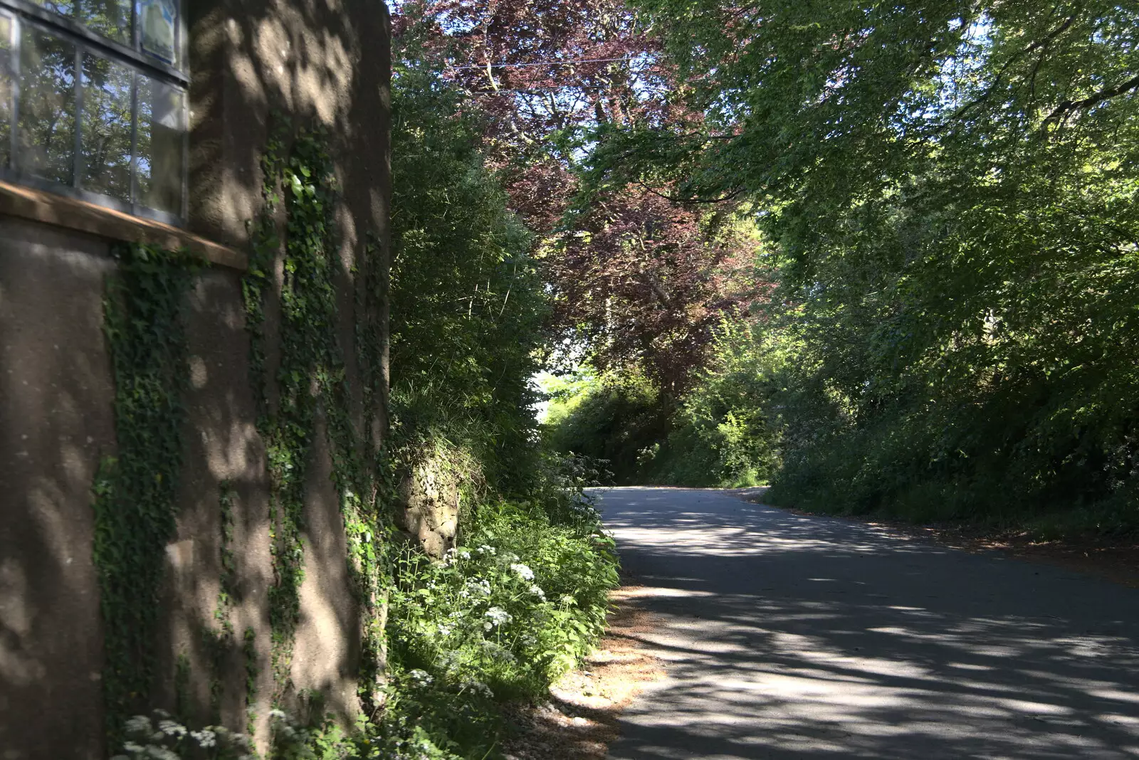 The road to Throwleigh, from A Trip to Grandma J's, Spreyton, Devon - 2nd June 2021