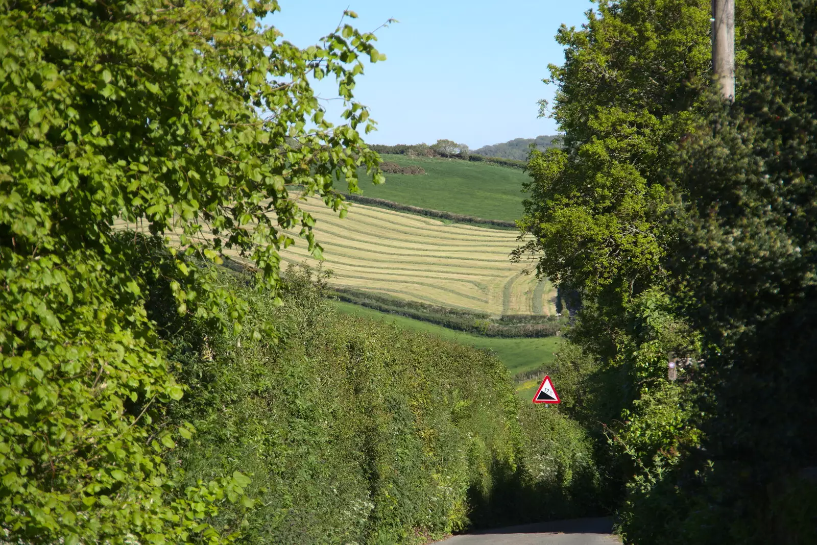 Devon fields, from A Trip to Grandma J's, Spreyton, Devon - 2nd June 2021