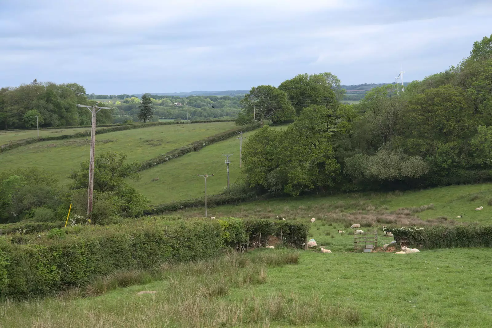 The view from the garden, from A Trip to Grandma J's, Spreyton, Devon - 2nd June 2021