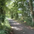 Thornham Road is in full summer leaf, A Visit to the Kittens, Scarning, Norfolk - 13th June 2021