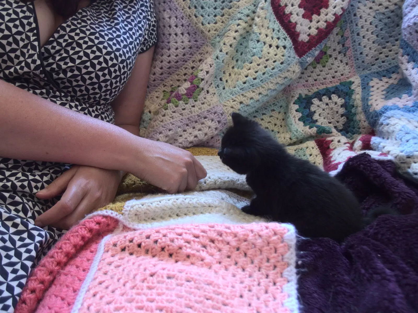 Isobel meets a kitten, from A Visit to the Kittens, Scarning, Norfolk - 13th June 2021