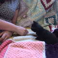 Isobel meets a kitten, A Visit to the Kittens, Scarning, Norfolk - 13th June 2021
