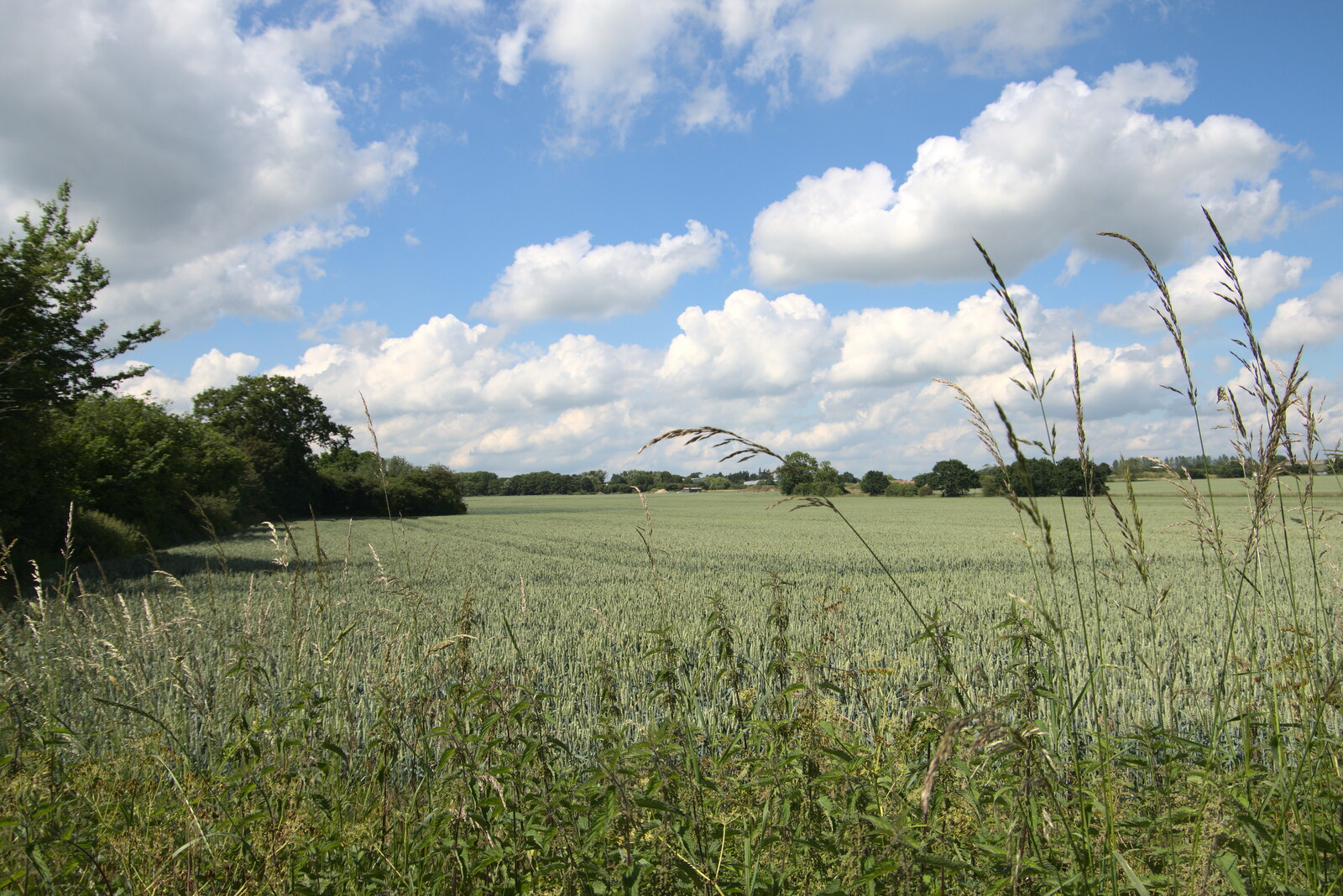 A field near Colin and Jill's from The BSCC at Earl Soham and at Colin and Jill's, Eye, Suffolk - 26th June 2021