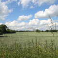 A field near Colin and Jill's, The BSCC at Earl Soham and at Colin and Jill's, Eye, Suffolk - 26th June 2021