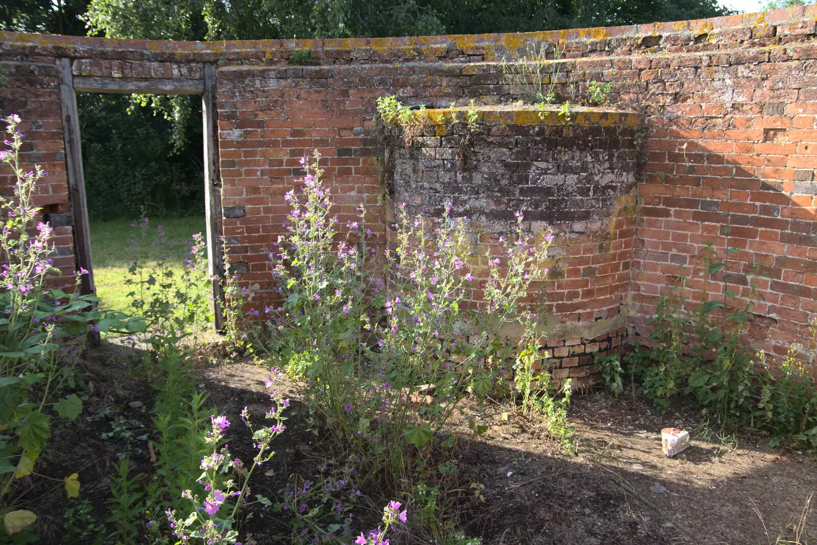 Inside the remains of Victoria Mill, from The BSCC at Earl Soham and at Colin and Jill's, Eye, Suffolk - 26th June 2021