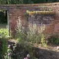 Inside the remains of Victoria Mill, The BSCC at Earl Soham and at Colin and Jill's, Eye, Suffolk - 26th June 2021