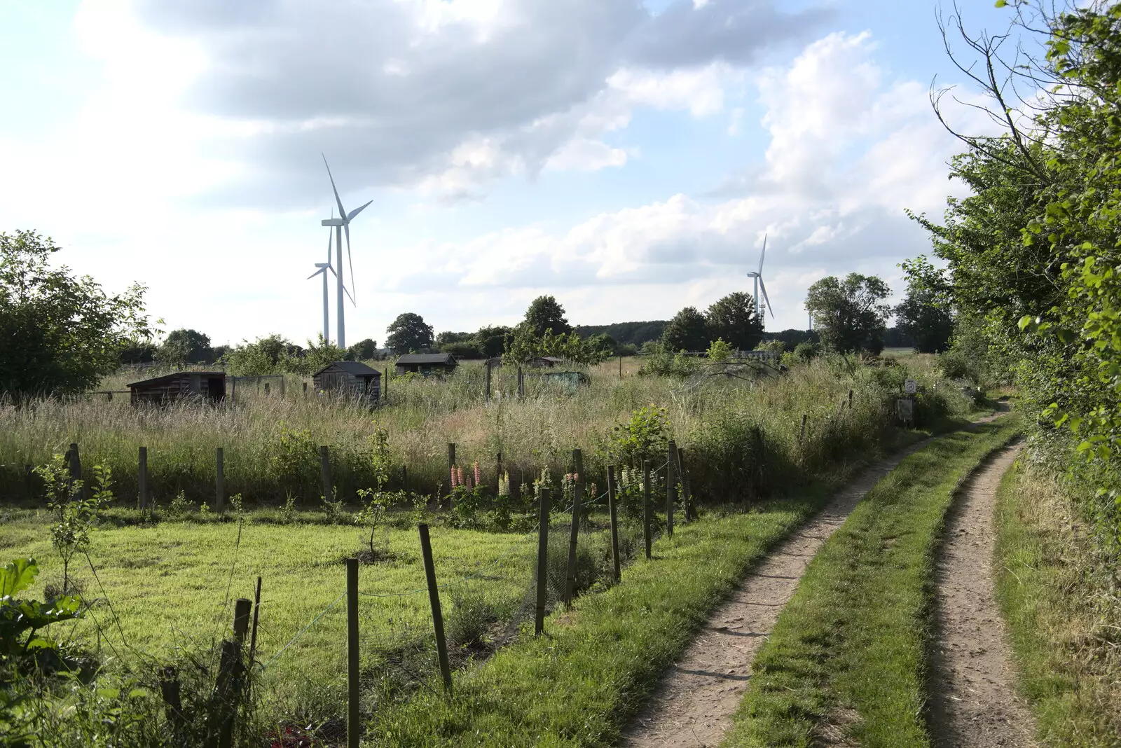 A view over the allotments behind Highfield, from The BSCC at Earl Soham and at Colin and Jill's, Eye, Suffolk - 26th June 2021