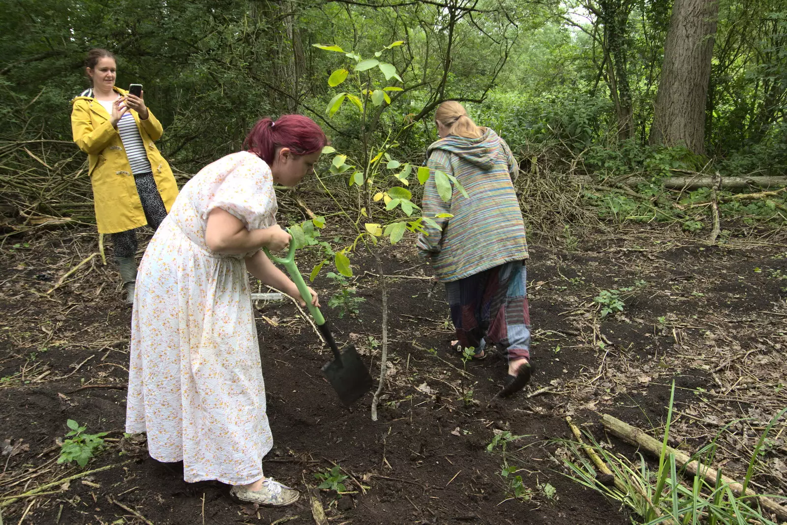 The tree is installed, from Planting a Tree, Town Moors, Eye, Suffolk - 10th July 2021