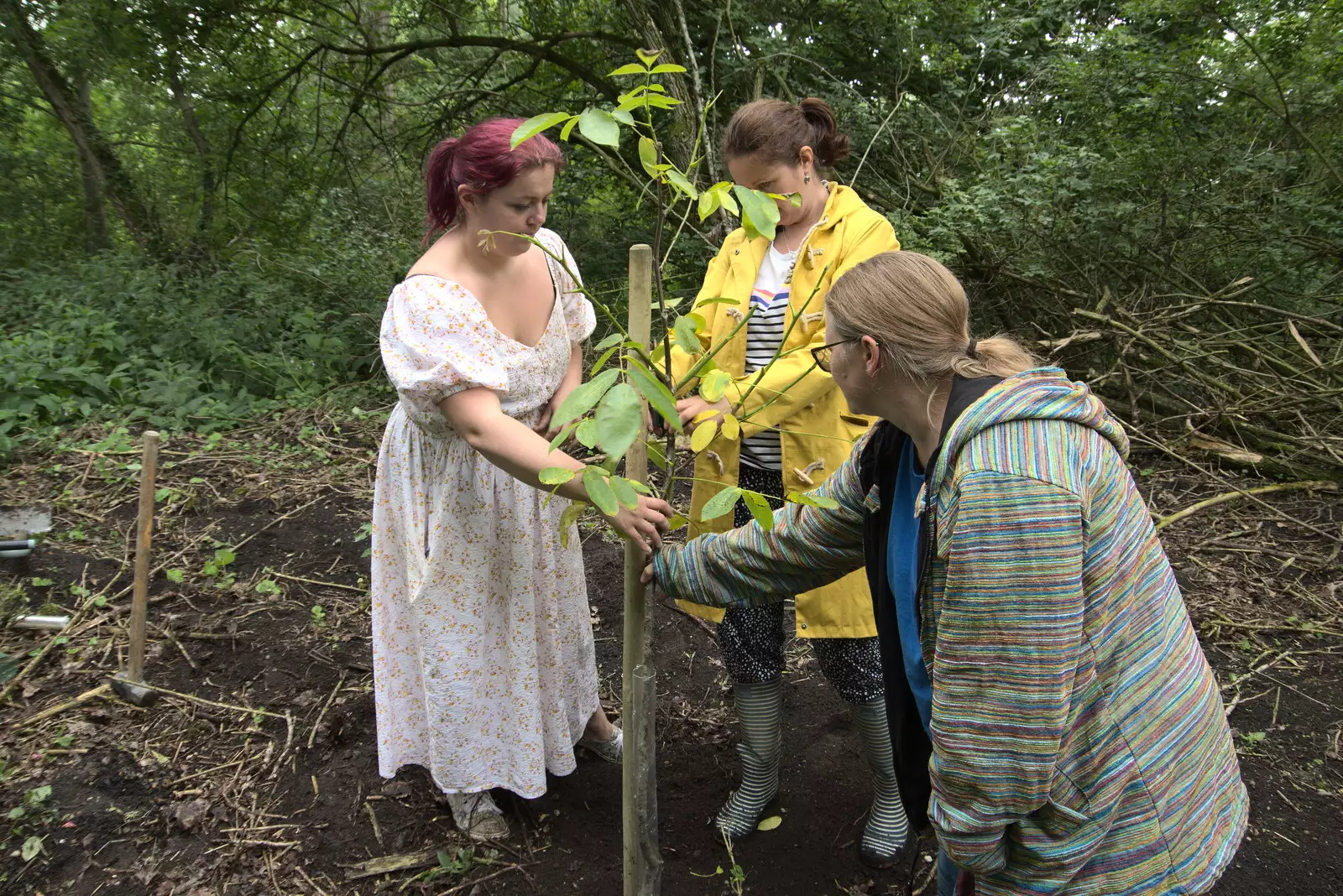 The stake is in and the walnut is tied up, from Planting a Tree, Town Moors, Eye, Suffolk - 10th July 2021