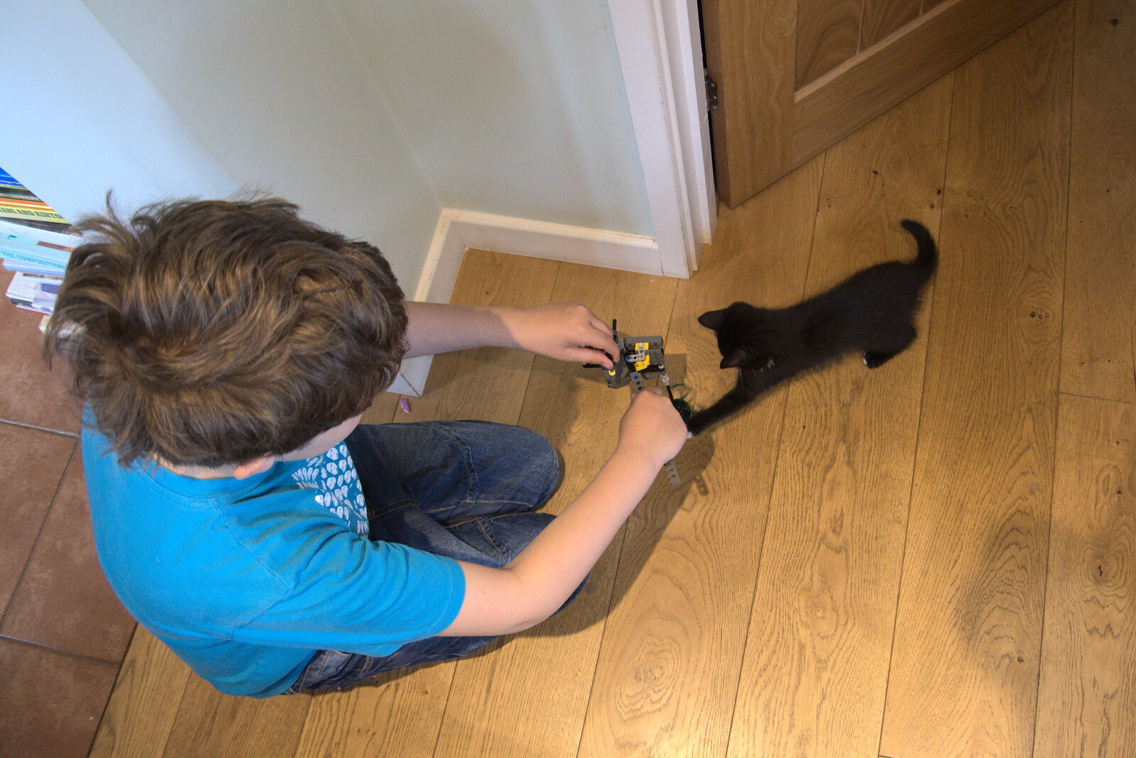 Fred plays with a kitten from Planting a Tree, Town Moors, Eye, Suffolk - 10th July 2021