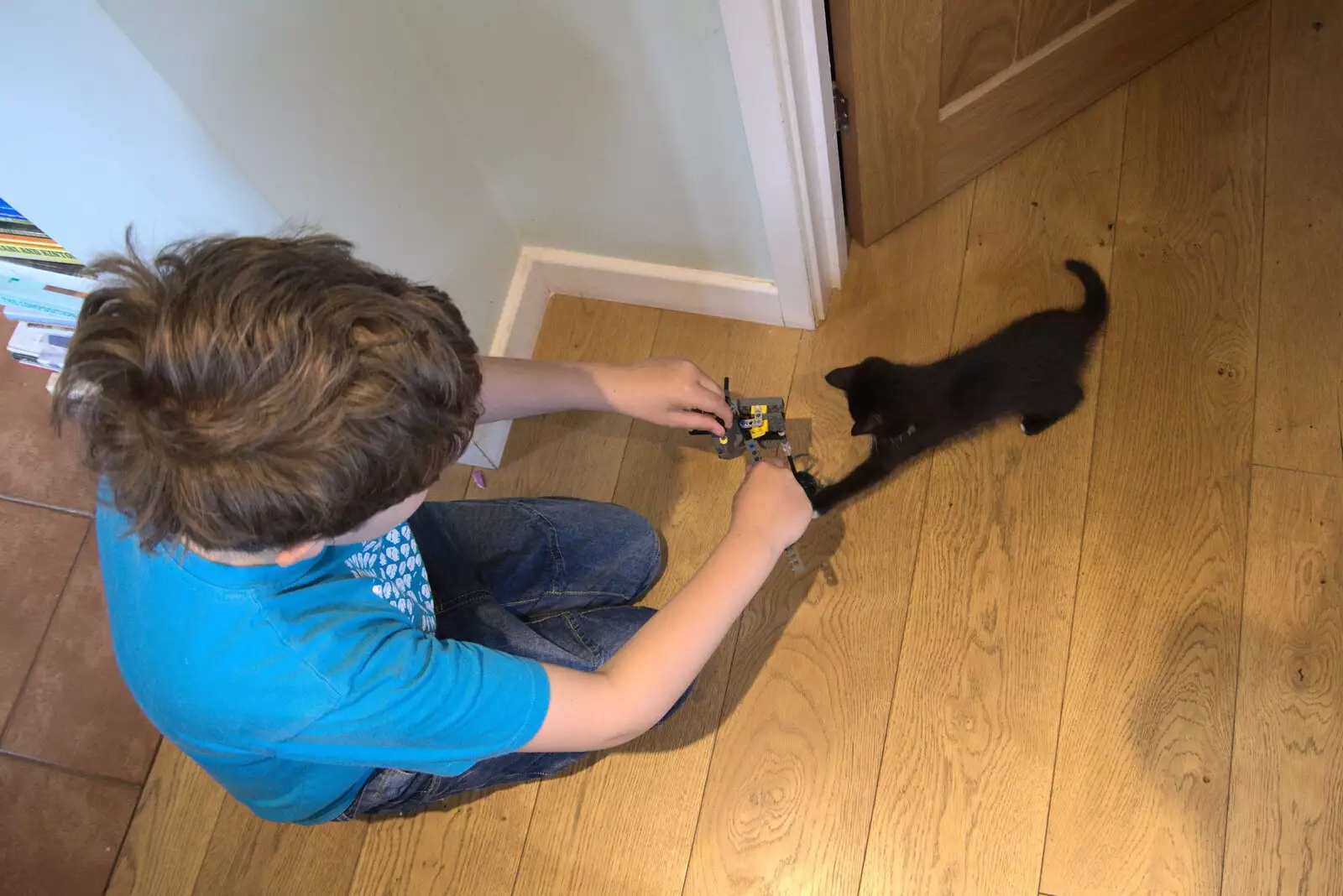 Fred plays with a kitten, from Planting a Tree, Town Moors, Eye, Suffolk - 10th July 2021