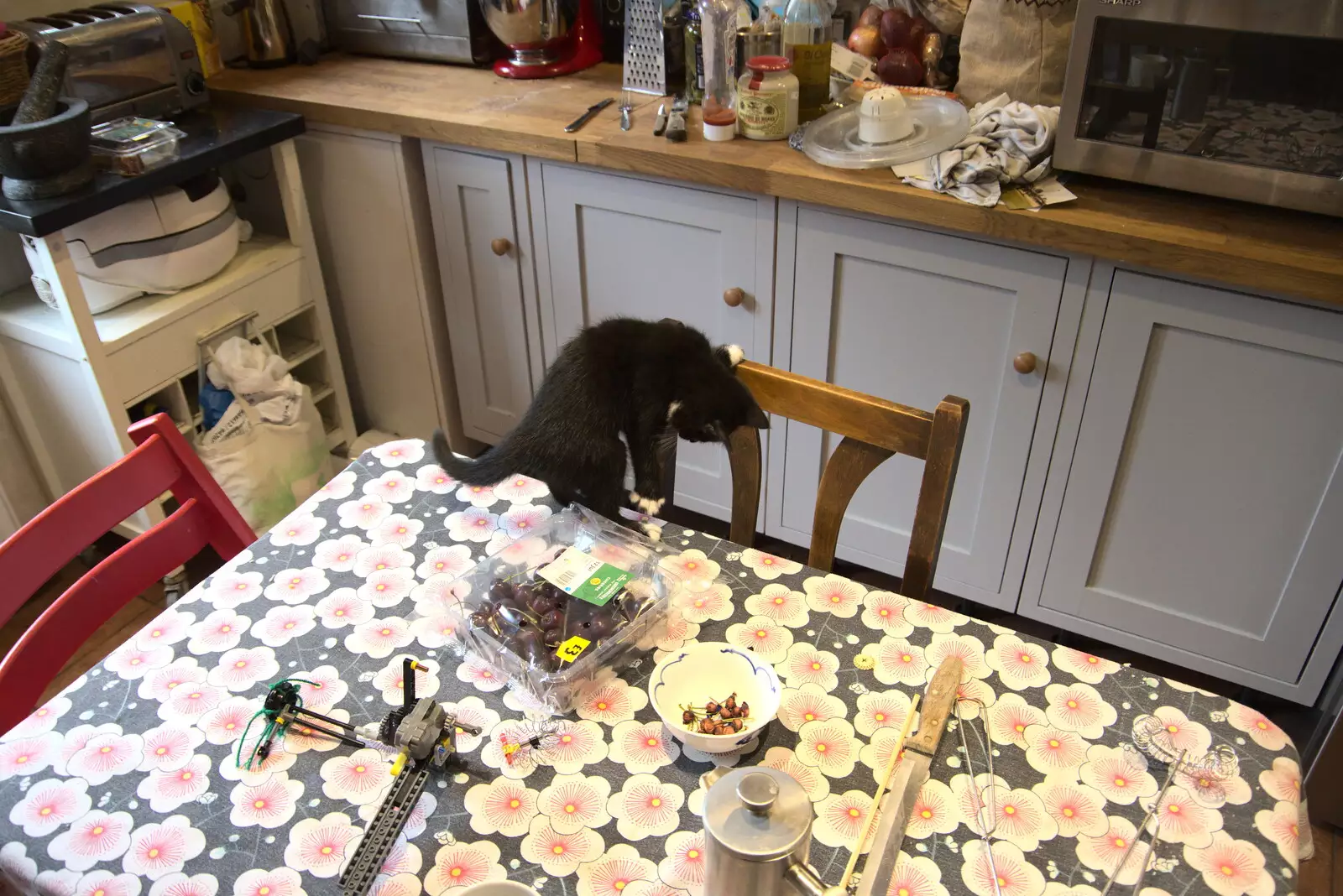 Lucy climbs around, from Planting a Tree, Town Moors, Eye, Suffolk - 10th July 2021