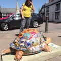 2021 Isobel scopes another tortoise out