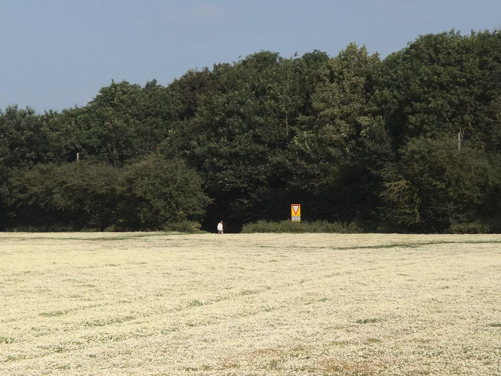 Isobel walks back from the bus stop, from Hares, Tortoises and Station 119, Eye, Suffolk - 19th July 2021