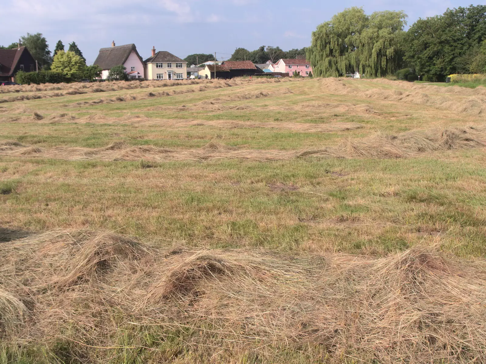 The hay has been cut on Thrandeston Little Green, from The BSCC at The Crown, Gissing, Norfolk - 22nd July 2021