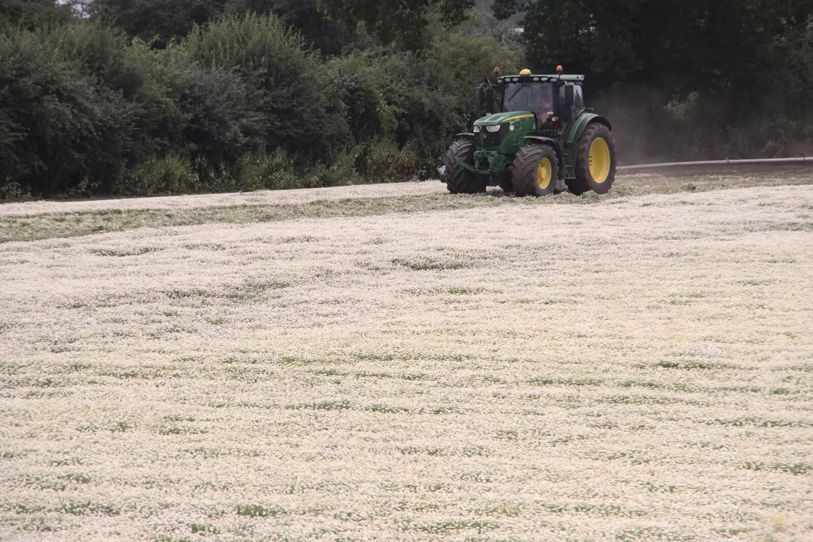 The chamomile is mowed on the side field, from The BSCC at The Crown, Gissing, Norfolk - 22nd July 2021