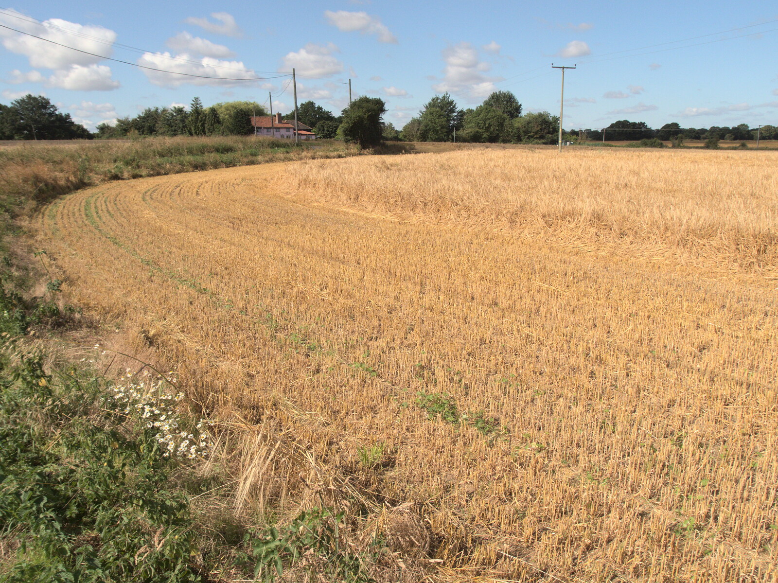 The wheat is partly-harvested over at Thrandeston from Meg-fest, and Sean Visits, Bressingham and Brome, Suffolk - 1st August 2021