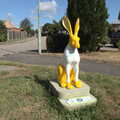 2021 A yellow hare on Millfield in Eye