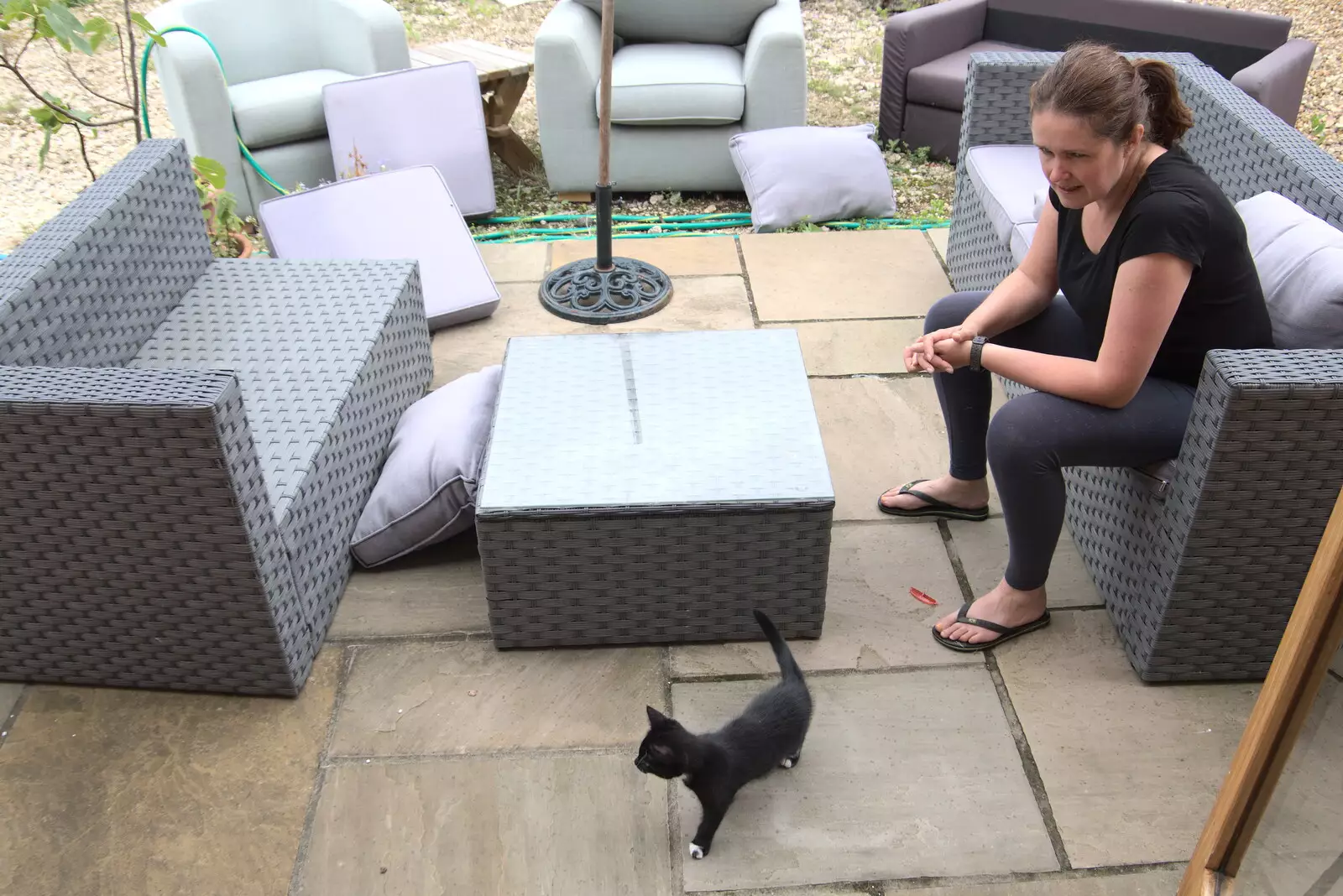 Molly Kitten roams around the patio, from Meg-fest, and Sean Visits, Bressingham and Brome, Suffolk - 1st August 2021