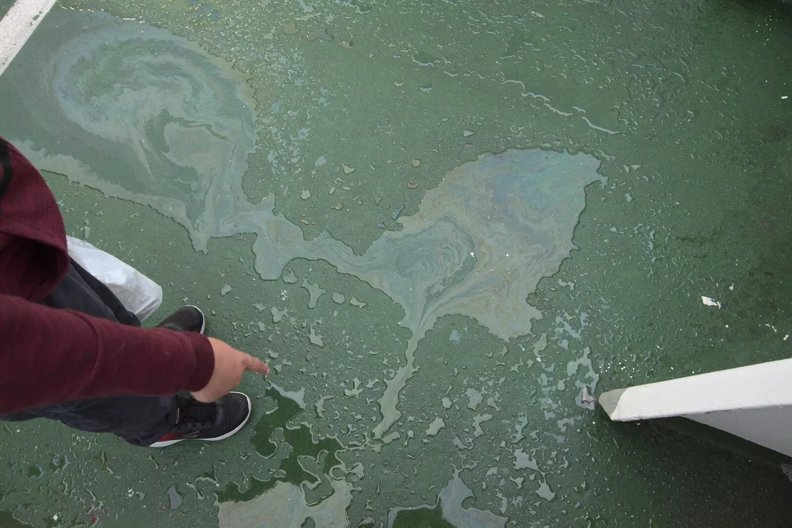 Fred points to oily water on the ferry's deck, from Pints of Guinness and Streedagh Beach, Grange and Sligo, Ireland - 9th August 2021