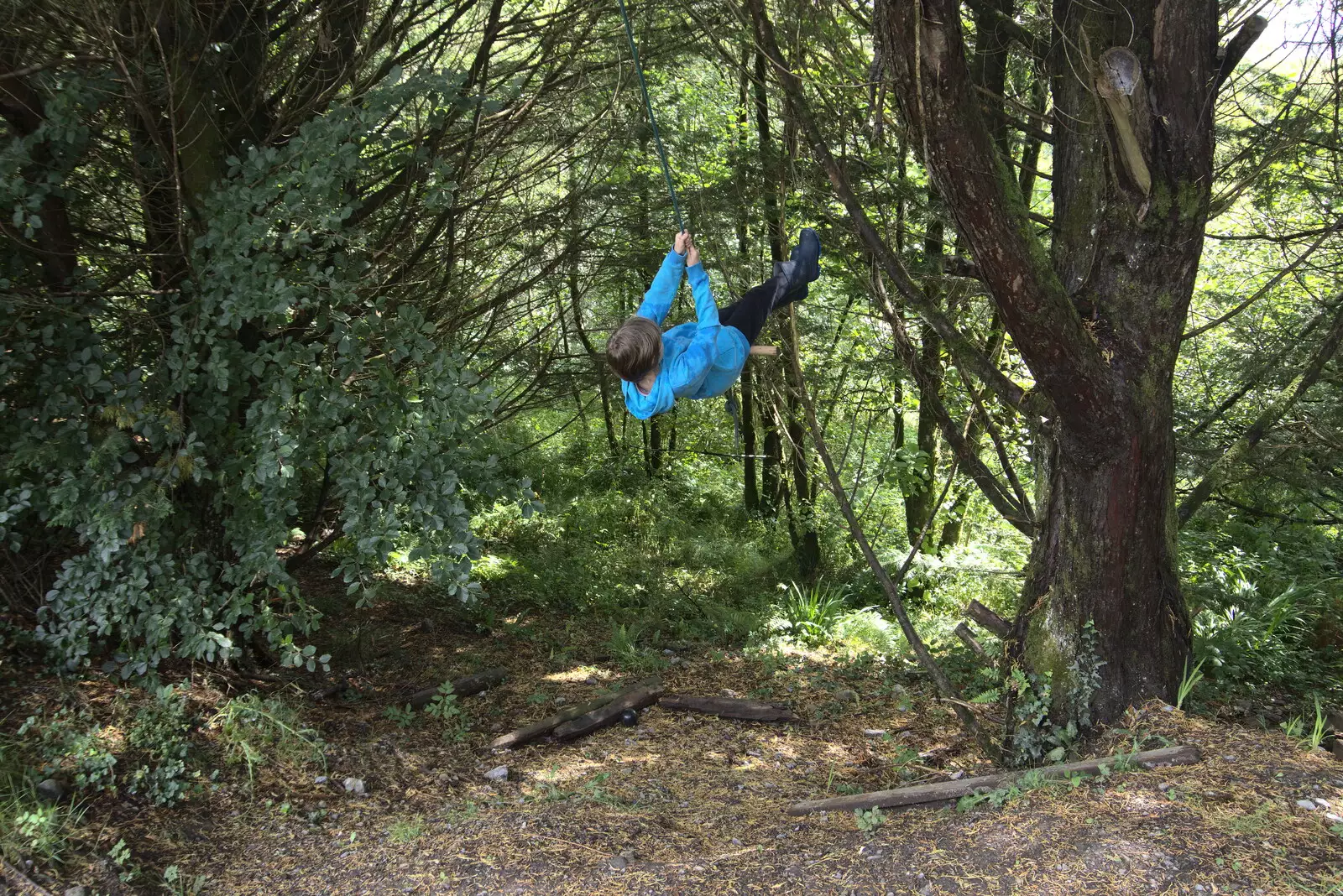 Harry swings around in the trees, from Pints of Guinness and Streedagh Beach, Grange and Sligo, Ireland - 9th August 2021