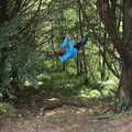 Harry swings around in the trees, Pints of Guinness and Streedagh Beach, Grange and Sligo, Ireland - 9th August 2021