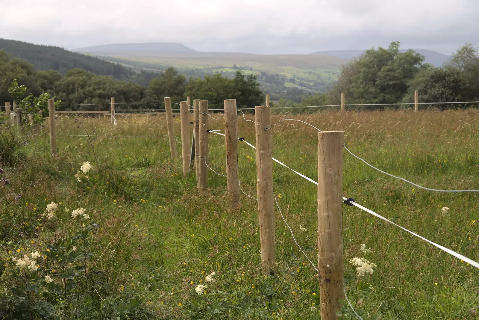 Philly's new fence, from Pints of Guinness and Streedagh Beach, Grange and Sligo, Ireland - 9th August 2021