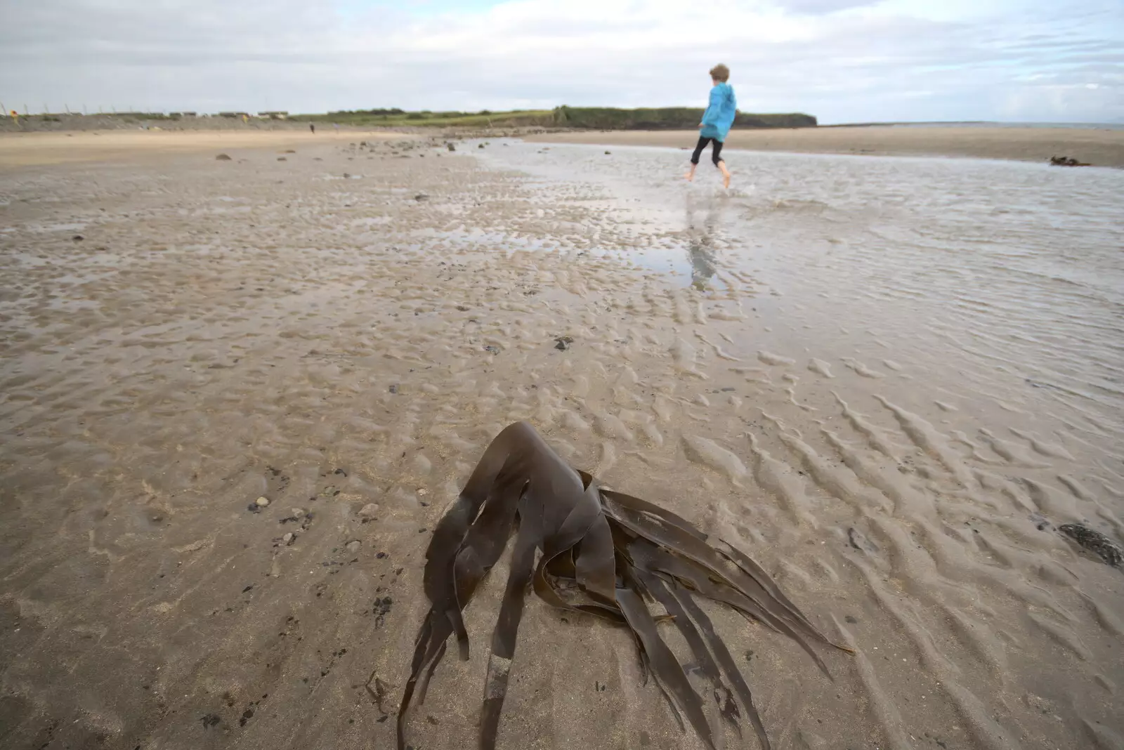 Harry runs off, from Pints of Guinness and Streedagh Beach, Grange and Sligo, Ireland - 9th August 2021