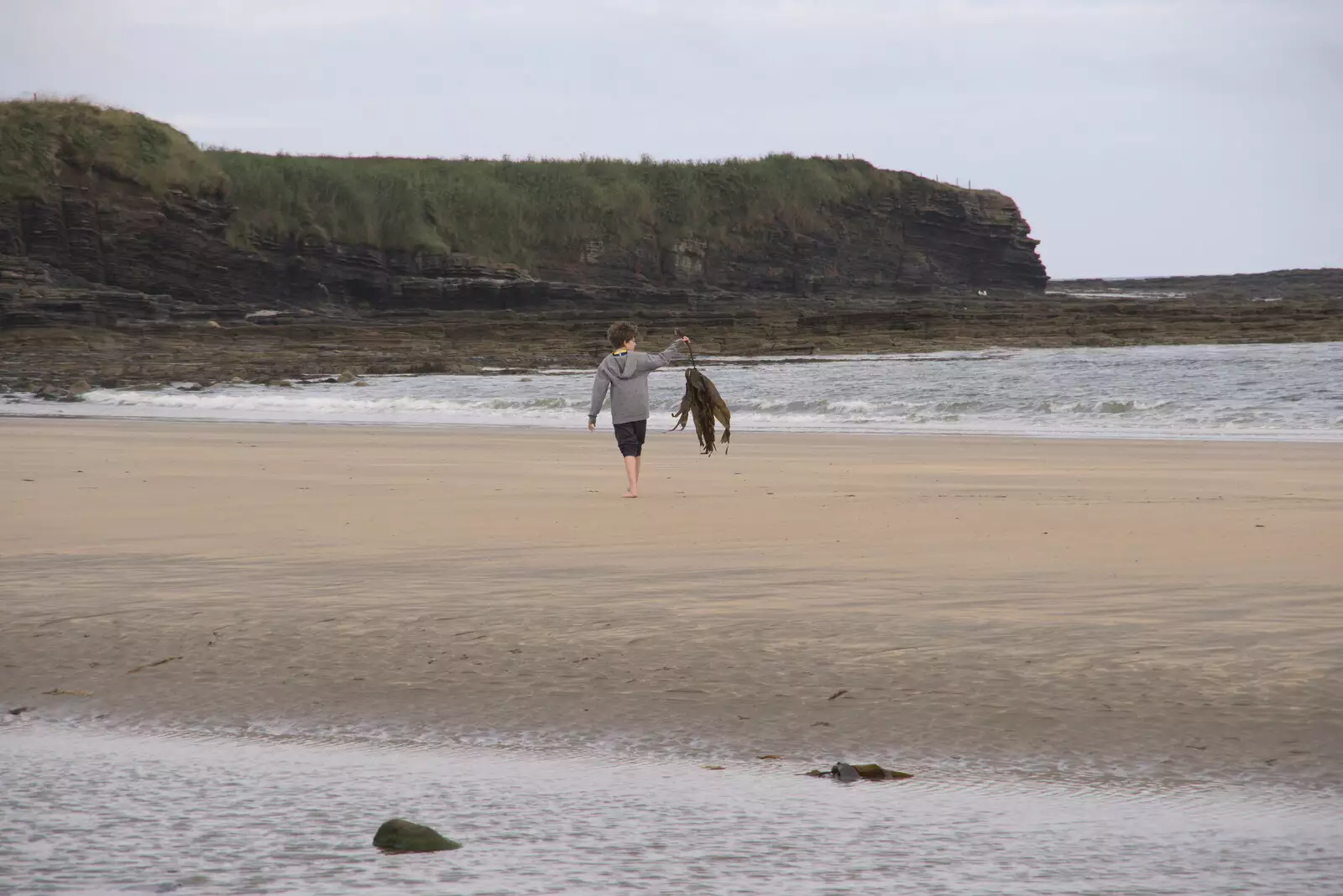 Fred's found more seaweed, from Pints of Guinness and Streedagh Beach, Grange and Sligo, Ireland - 9th August 2021