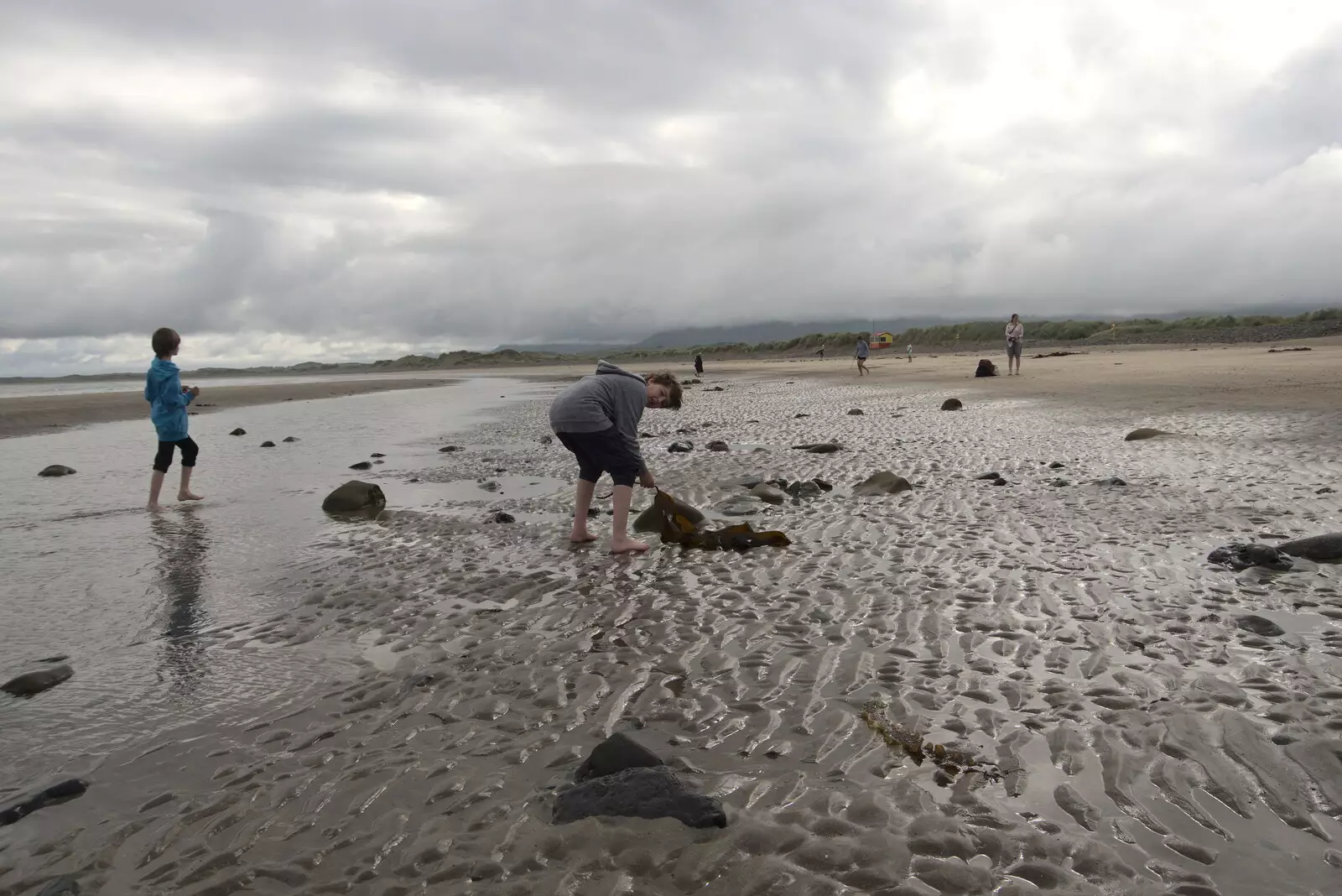 Fred digs up more seaweed, from Pints of Guinness and Streedagh Beach, Grange and Sligo, Ireland - 9th August 2021