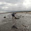 Fred digs up more seaweed, Pints of Guinness and Streedagh Beach, Grange and Sligo, Ireland - 9th August 2021