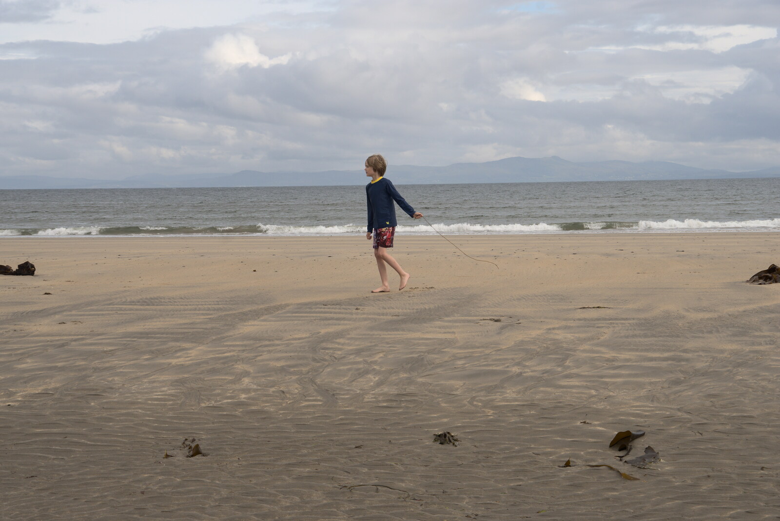 Pints of Guinness and Streedagh Beach, Grange and Sligo, Ireland - 9th August 2021: Harry runs around with a string of seaweed