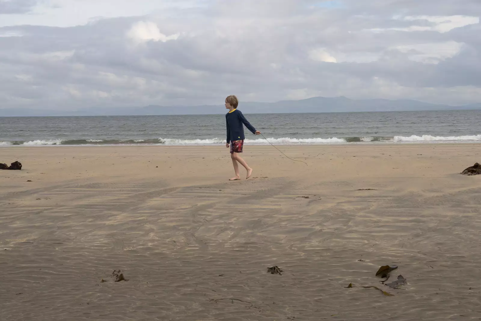 Harry runs around with a string of seaweed, from Pints of Guinness and Streedagh Beach, Grange and Sligo, Ireland - 9th August 2021