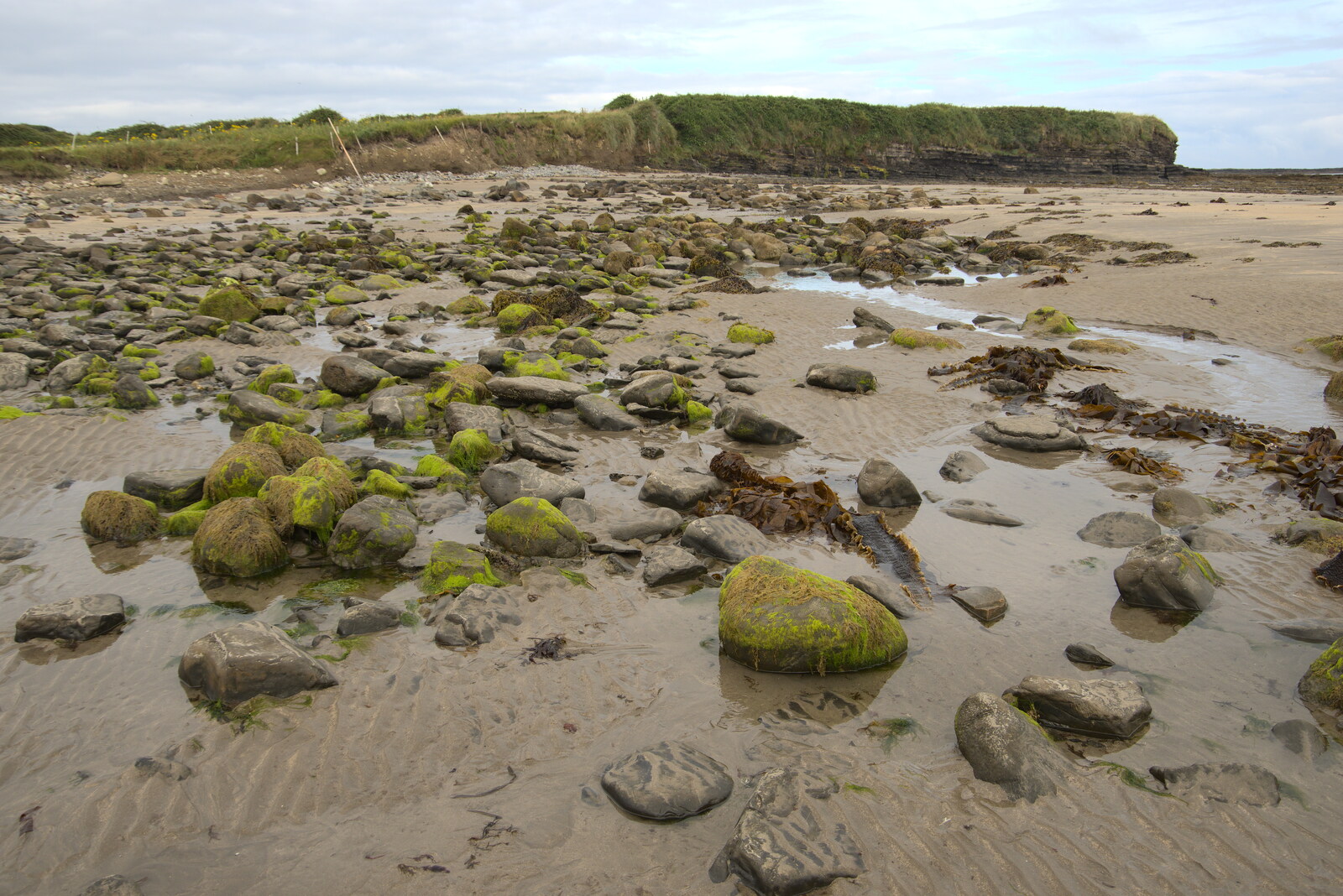 Pints of Guinness and Streedagh Beach, Grange and Sligo, Ireland - 9th August 2021: Green-covered rocks
