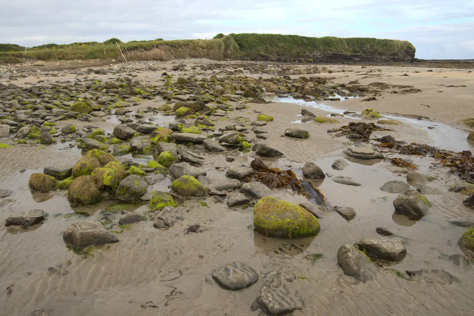 Green-covered rocks, from Pints of Guinness and Streedagh Beach, Grange and Sligo, Ireland - 9th August 2021