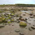 Green-covered rocks, Pints of Guinness and Streedagh Beach, Grange and Sligo, Ireland - 9th August 2021
