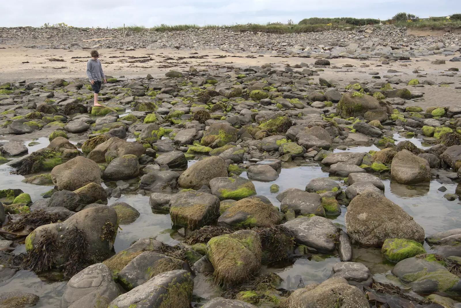 Fred in amongst the rockpools, from Pints of Guinness and Streedagh Beach, Grange and Sligo, Ireland - 9th August 2021