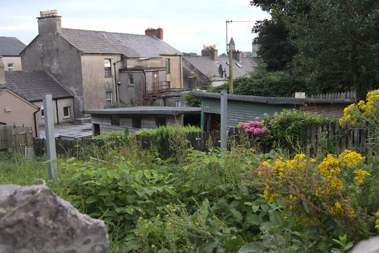 The house where some dude plays loud music to plants, from Pints of Guinness and Streedagh Beach, Grange and Sligo, Ireland - 9th August 2021