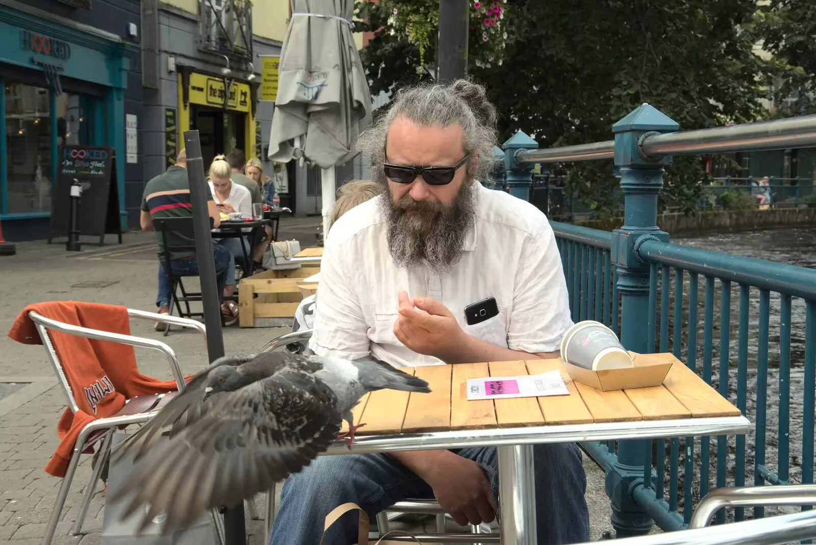 A pigeon takes to the wing as Noddy points, from A Trip to Manorhamilton, County Leitrim, Ireland - 11th August 2021