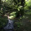 A stream in the woods, Walks Around Benbulben and Carrowmore, County Sligo, Ireland - 13th August 2021