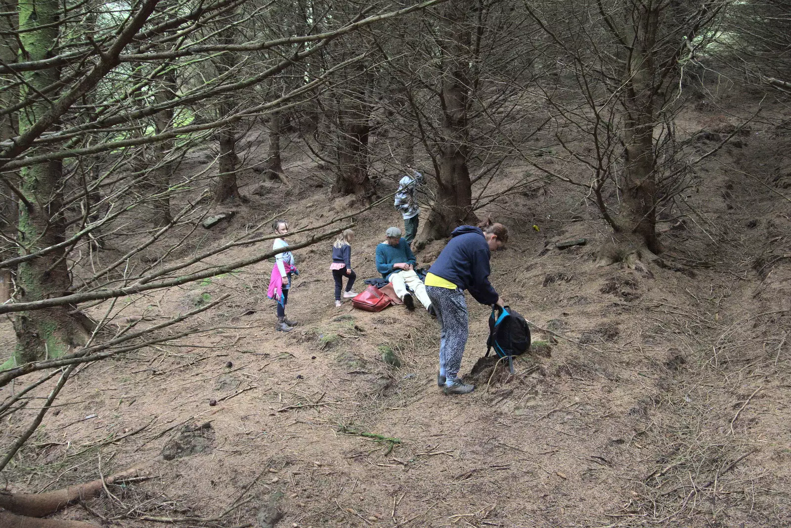 We stop for a picnic in the woods, from Walks Around Benbulben and Carrowmore, County Sligo, Ireland - 13th August 2021